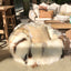 Beanbags + Floor Cushions