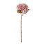 Hydrangea Stem - Pink