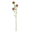 Allium Spray