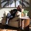 Moana Swivel Armchair - Marshmallow