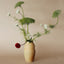 Anca Vase - Buff - Handmade in NZ