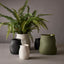 Maliah Pot - Green Short