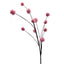 Snowball Flower Stem