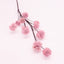 Snowball Flower Stem