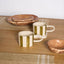 Fenton Stripe Mug