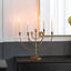 Donalt Candelabra