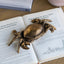 Crab Decorative Box