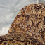 Austin Counter Stool - Ginger Jacquard