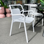 Tahi Outdoor Dining Chair - White - last one