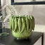 Peperoncino Pot