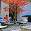 Orlando Outdoor Armchair