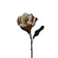 Vintage Magnolia Stem