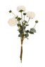 Pompom Dahlia Stem Bundle