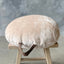 Snowby Floor Cushion - Natural - Medium
