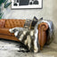 Stanley Chesterfield 3S - Tan Leather