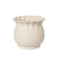 Alexa Pot - 4 sizes