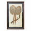 Pheasant Framed Print