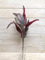 Amaranthus Spray - Burgundy