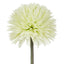 Kiku Stem - Green