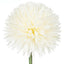 Kiku Stem - Cream