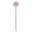 Kiku Stem - Pink