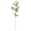Kiku Spray - Green