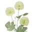 Kiku Spray - Green