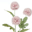 Kiku Spray - Pink