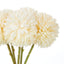 Kiku Bunch - Cream