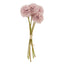 Kiku Bunch - Pink