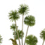 Pom Pom Spray - Green