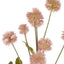 Pom Pom Spray - Mauve