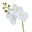 Phalaenopsis Orchid  - White 88cm