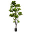 Fiddle Tree - 70x210