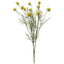 Dandelion Stem