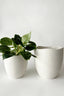 Rhea Textured Planter - Small