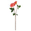 Dahlia Bud Stem - Orange 60cm