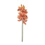 Cymbidium Spray - Orange