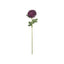 Chrysanthemum Stem - Purple