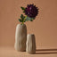 Chrysanthemum Stem - Purple