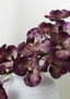 Vanda Orchid - Purple 66cm