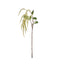 Hanging Amaranthus Spray - Cream