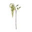 Hanging Amaranthus Spray - Green