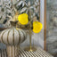 Stella Table Lamp - Green