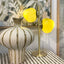 Alessia Ceramic Vase