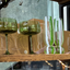 Studio Glass Coupe - Olive - Set of 2