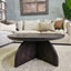 Echo Coffee Table