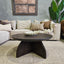 Echo Coffee Table
