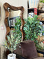 Ripple Wood Rectangle Mirror - 180x80