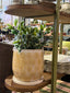 Eda Ceramic Pot w Saucer - 26cm